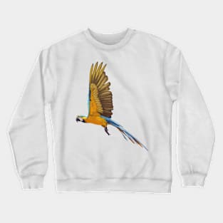 Blue and Gold Macaw Crewneck Sweatshirt